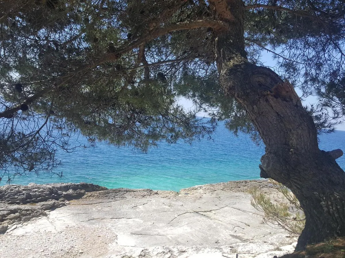 Apartment Eva- Modern Central Place 0*, Pula
